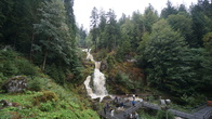 DSC01606.jpg