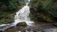 DSC01618.jpg