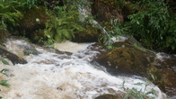 DSC01623.jpg