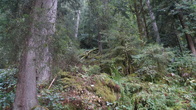 DSC01624.jpg