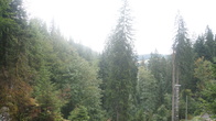 DSC01627.jpg