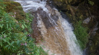 DSC01634.jpg