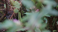 DSC01638.jpg