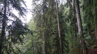 DSC01653.jpg