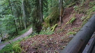 DSC01654.jpg