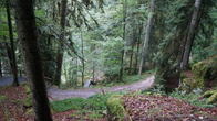 DSC01655.jpg