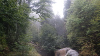 DSC01661.jpg