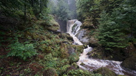 DSC01665.jpg