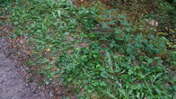 DSC01669.jpg