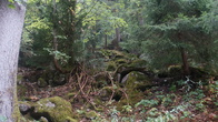 DSC01671.jpg