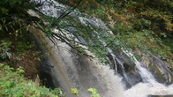 DSC01676.jpg