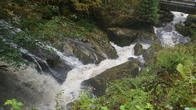 DSC01677.jpg