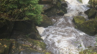 DSC01679.jpg