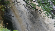 DSC01685.jpg