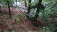 DSC01687.jpg