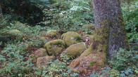 DSC01696.jpg
