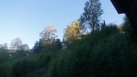 DSC01702.jpg