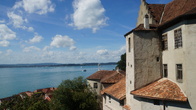 DSC01718.jpg