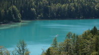 DSC01750.jpg