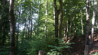 DSC01801.jpg