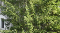 DSC01846.jpg