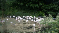 DSC01907.jpg