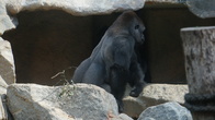 DSC01910.jpg