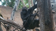 DSC01912.jpg