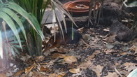 DSC01913.jpg