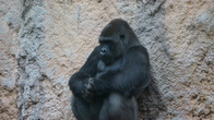 DSC01915.jpg