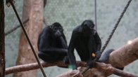 DSC01924.jpg