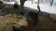 DSC01928.jpg