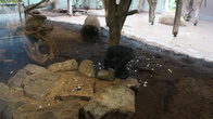 DSC01929.jpg