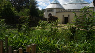 DSC01941.jpg