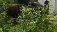 DSC01943.jpg