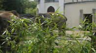 DSC01946.jpg