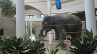 DSC01949.jpg
