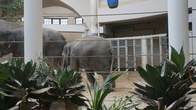DSC01951.jpg
