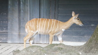 DSC01954.jpg