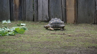 DSC01955.jpg