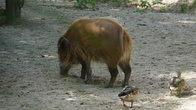 DSC01956.jpg