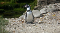 DSC01959.jpg