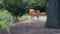 DSC01960.jpg