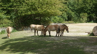 DSC01967.jpg