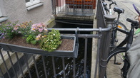 DSC02061.jpg